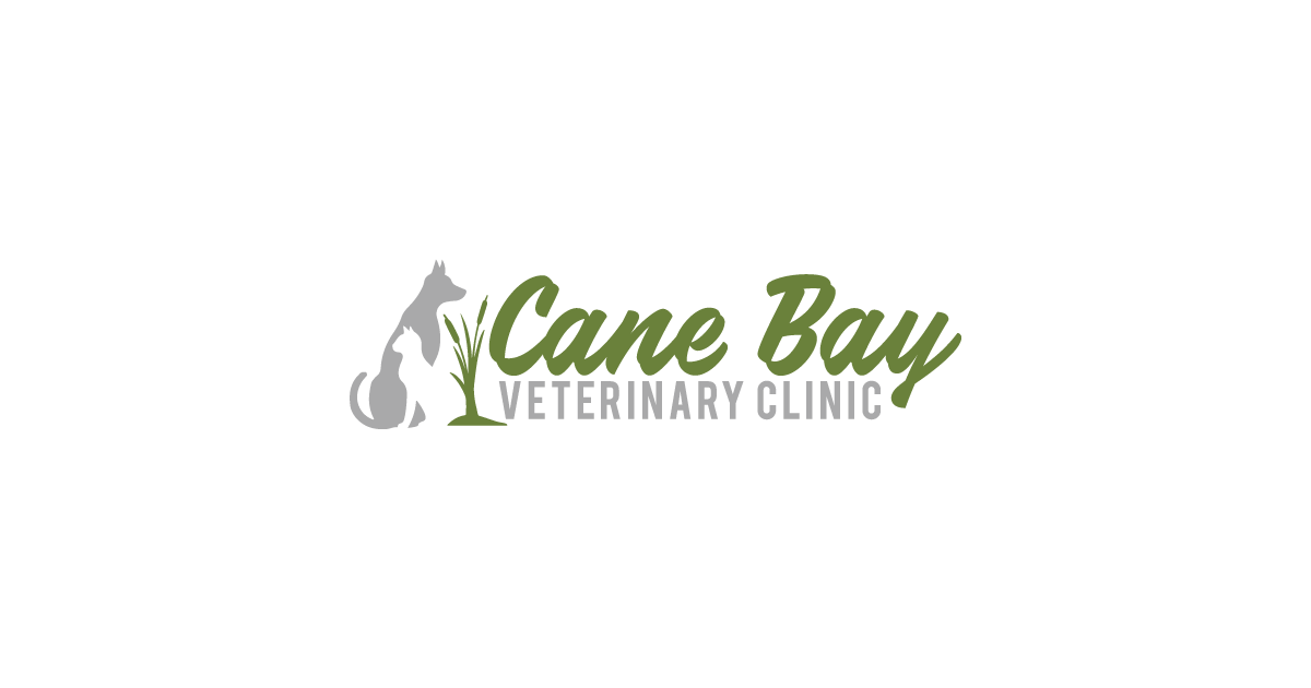 HighQuality Vet Hospital in Summerville, SC Cane Bay Veterinary Clinic
